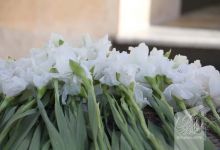 گزارش تصویری مراسم غبار روبی مزار شهدا